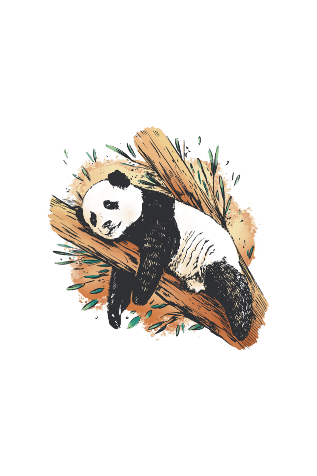 Sleeping Panda Raglan Full Sleeve