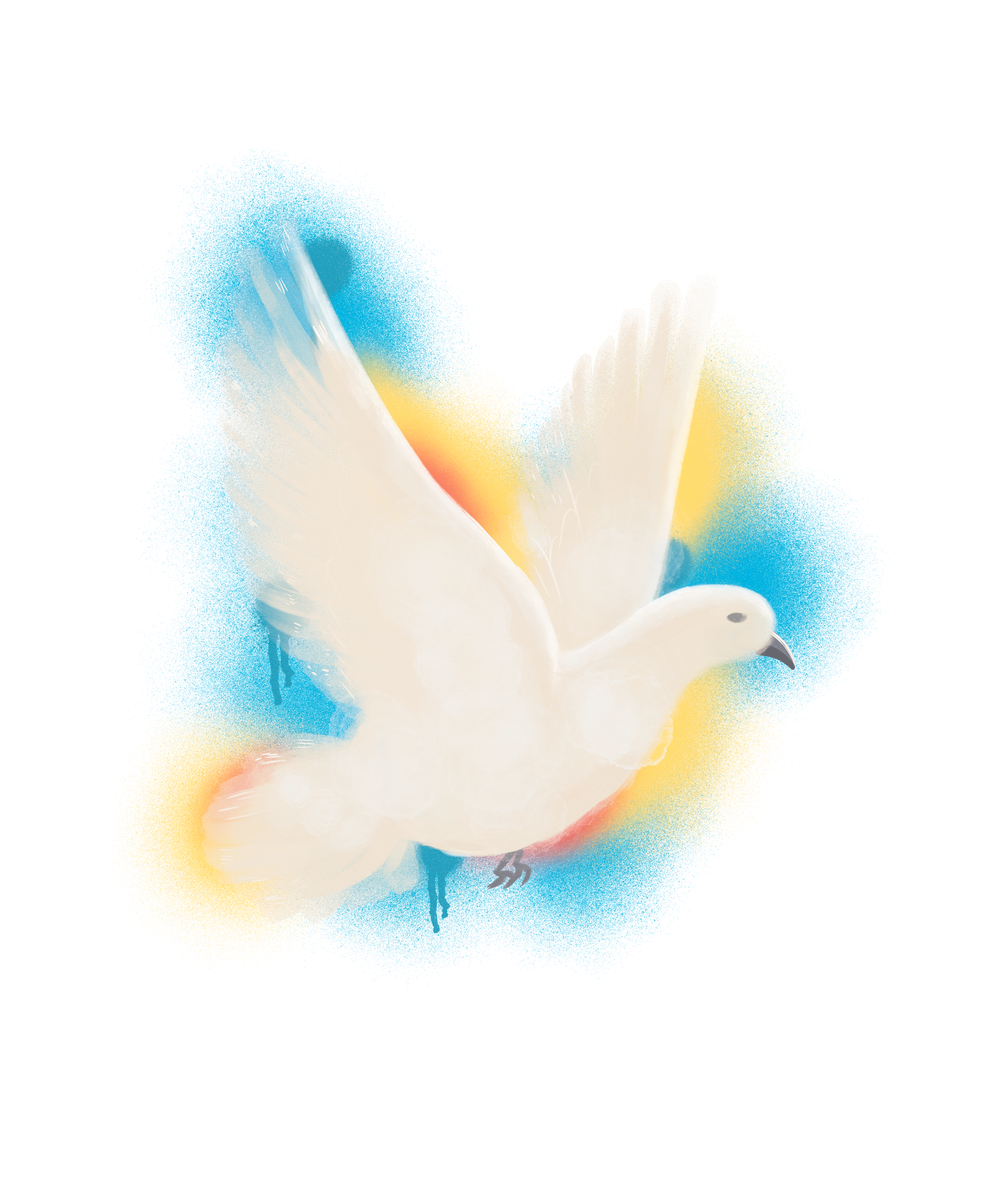 Watercolor Pigeon Supima T-Shirt